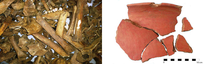 Restos óseos de animales - Fragmento cántaro inka local