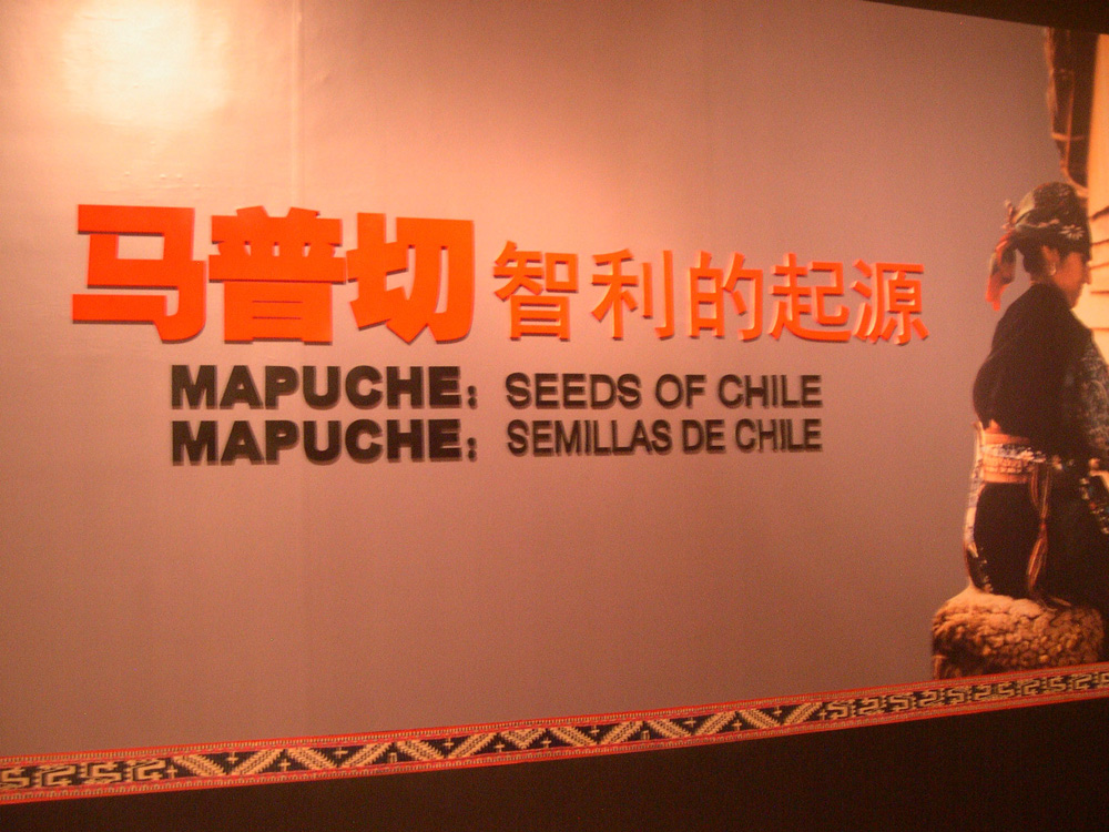 mapuches-beijins-00012