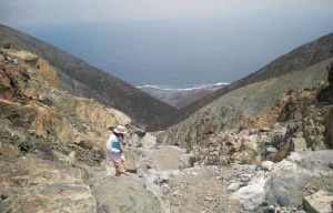 Desembocadura de la quebrada El Médano (Taltal) en el acantilado costero,cerca de 1.000 m sobre el nivel del mar (foto J . Berenguer).